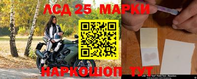 гашик Волжский