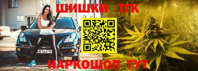 гашик Волжский