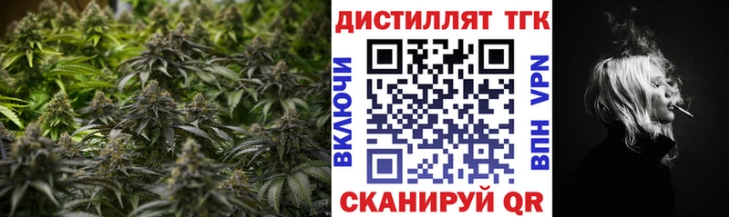 где купить наркоту  Шали  ТГК гашишное масло 