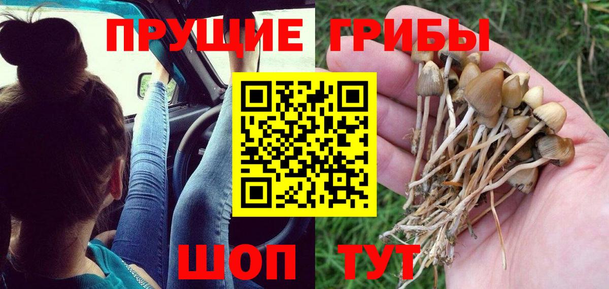 Псилоцибиновые грибы Magic Shrooms Шали