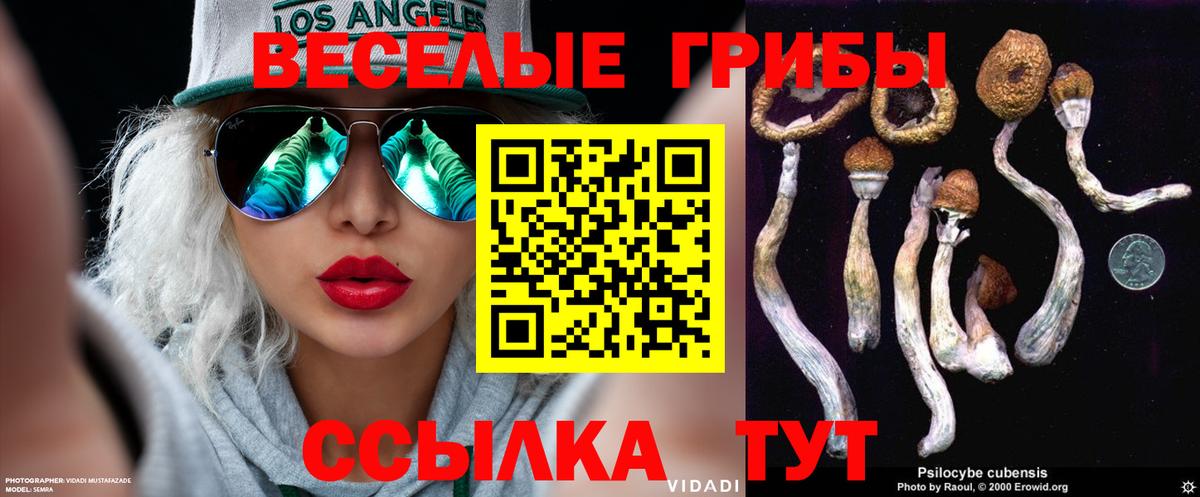 Галлюциногенные грибы ЛСД  Псилоцибиновые грибы Psilocybine cubensis  Шали 
