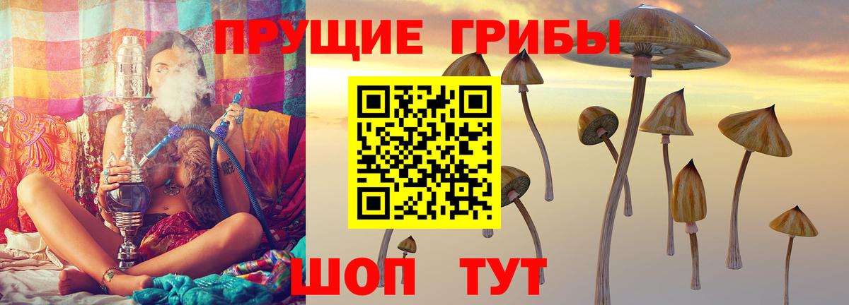 Псилоцибиновые грибы ЛСД  Галлюциногенные грибы ЛСД  Вход с VPN  Шали 
