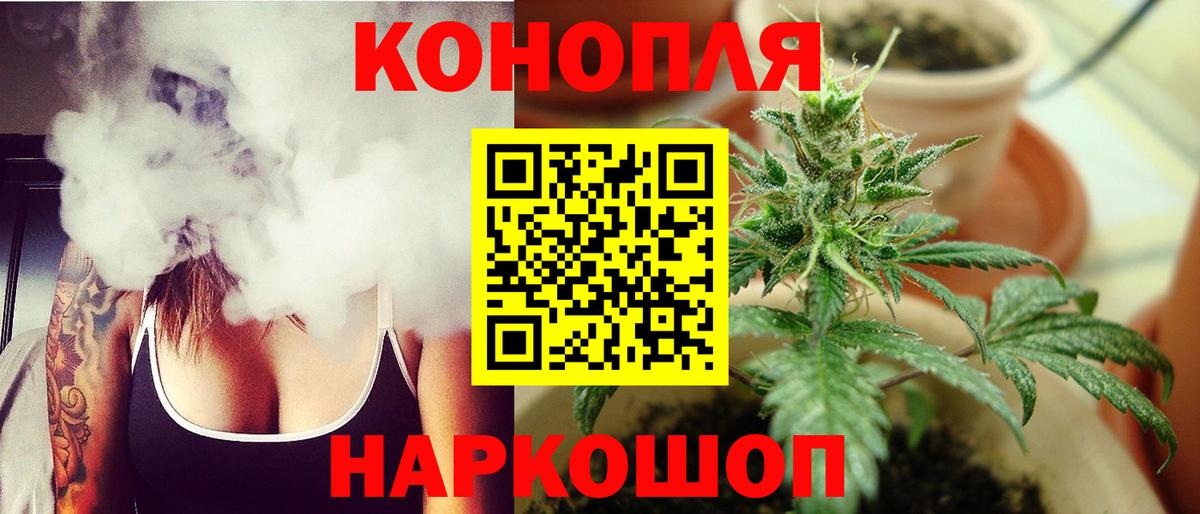 Бошки Шишки сатива  Шали  Конопля планчик  Бошки Шишки VHQ 